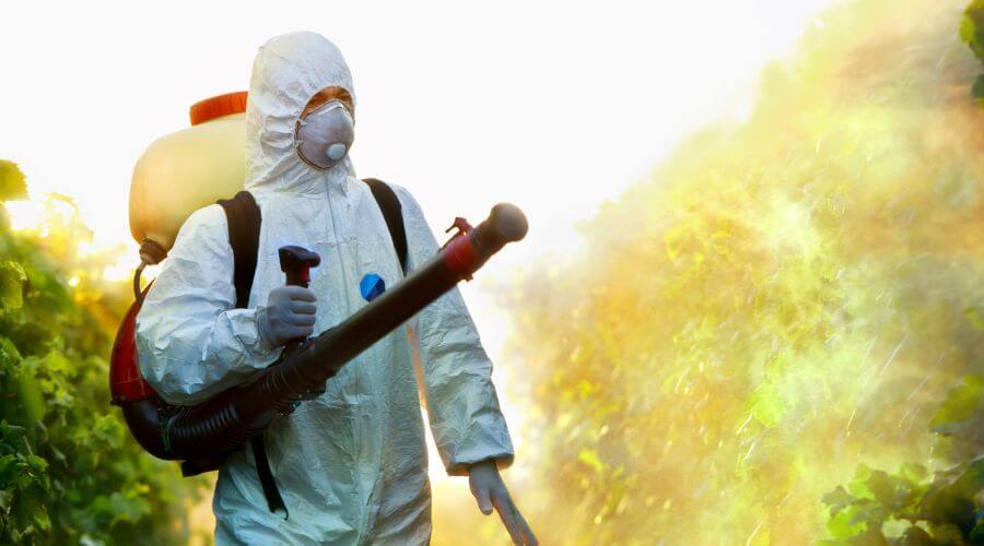 Professional exterminators corpus christi texas services in Corpus Christi